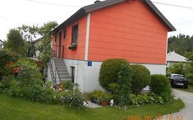 Apartment Darinka